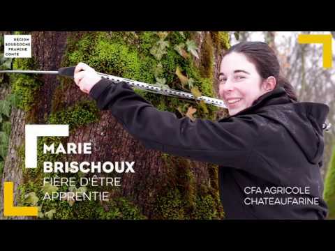 Marie, apprentie en gestion forestière