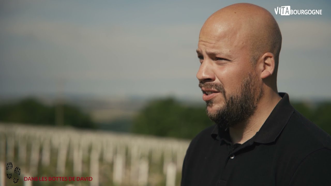 David, chef de culture dans un domaine à Chablis en Bourgogne