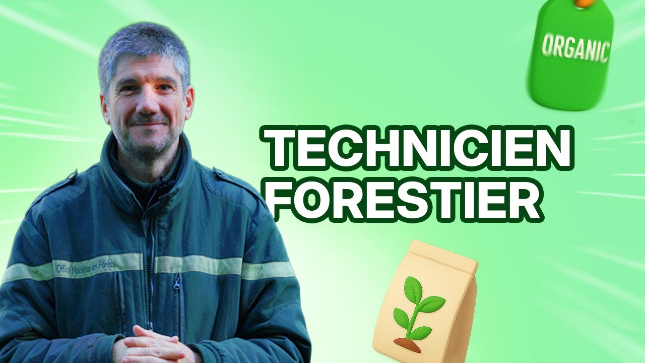 Un technicien forestier observe un tronc d'arbre